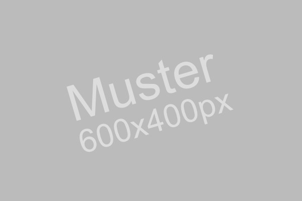 Muster 600 x 400